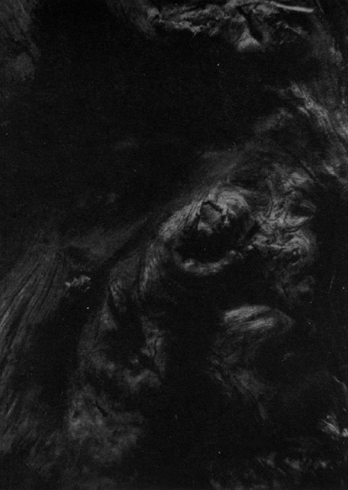 Paysage D'Hiver : Steineiche